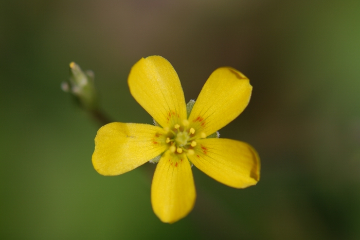 «ö¦¹¦b·sµøµ¡ÂsÄý¹Ï¤ù