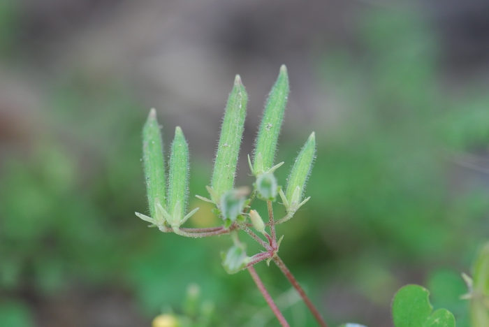 «ö¦¹¦b·sµøµ¡ÂsÄý¹Ï¤ù