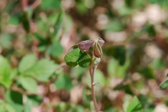 «ö¦¹¦b·sµøµ¡ÂsÄý¹Ï¤ù