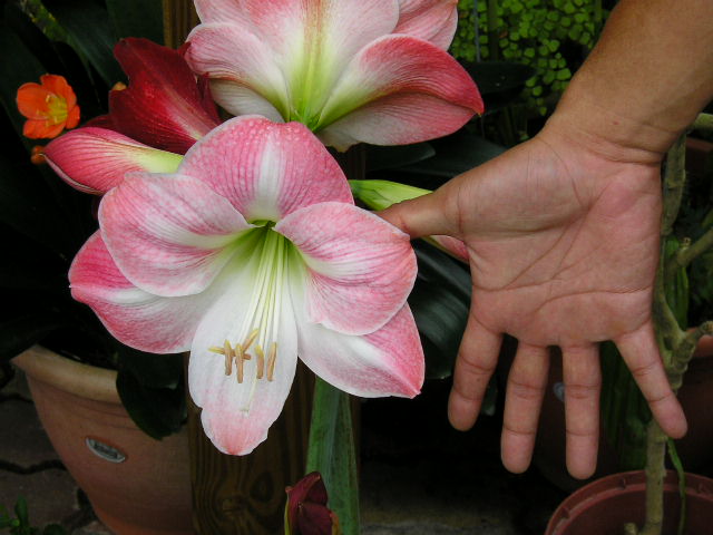 «ö¦¹¦b·sµøµ¡ÂsÄý¹Ï¤ù