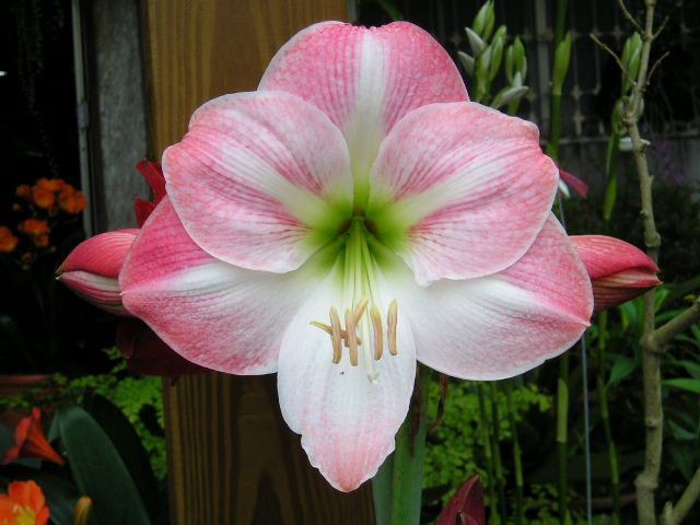 «ö¦¹¦b·sµøµ¡ÂsÄý¹Ï¤ù