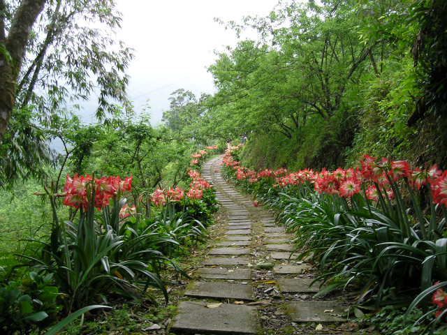 «ö¦¹¦b·sµøµ¡ÂsÄý¹Ï¤ù