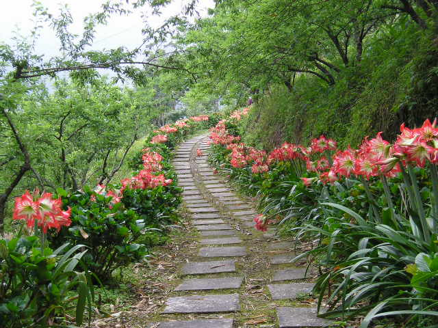 «ö¦¹¦b·sµøµ¡ÂsÄý¹Ï¤ù