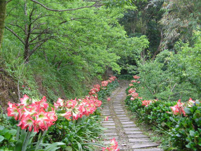 «ö¦¹¦b·sµøµ¡ÂsÄý¹Ï¤ù