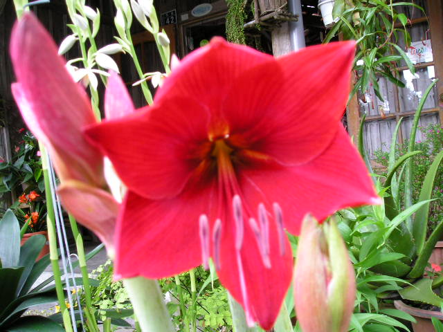 «ö¦¹¦b·sµøµ¡ÂsÄý¹Ï¤ù