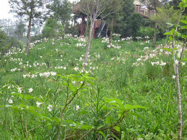 «ö¦¹¦b·sµøµ¡ÂsÄý¹Ï¤ù