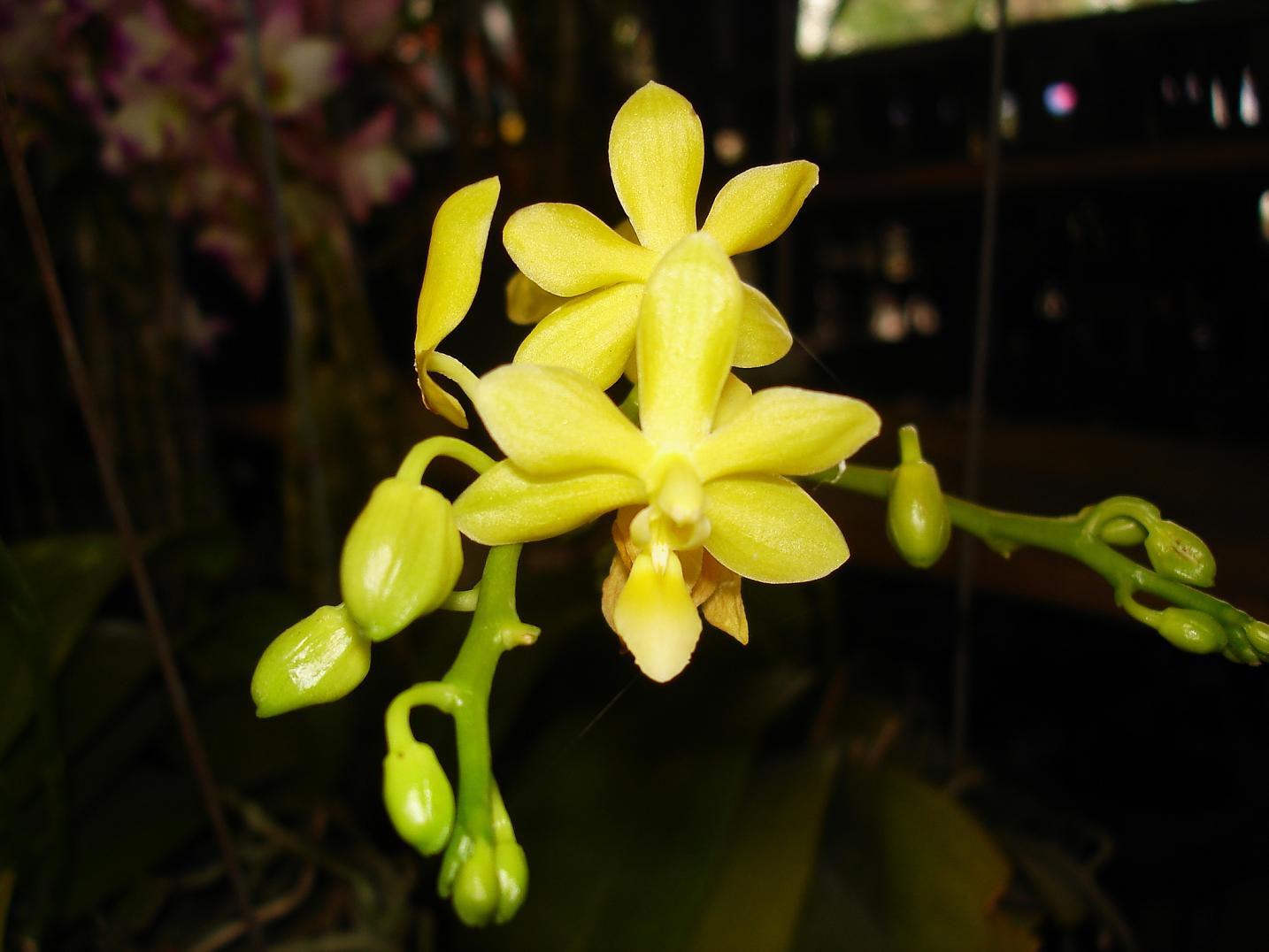 «ö¦¹¦b·sµøµ¡ÂsÄý¹Ï¤ù