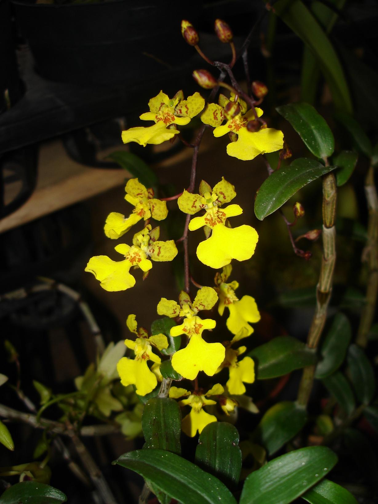 «ö¦¹¦b·sµøµ¡ÂsÄý¹Ï¤ù