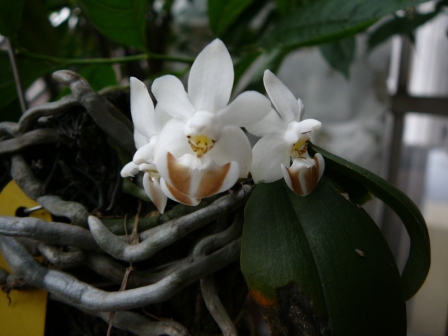 «ö¦¹¦b·sµøµ¡ÂsÄý¹Ï¤ù