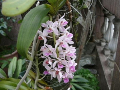 «ö¦¹¦b·sµøµ¡ÂsÄý¹Ï¤ù