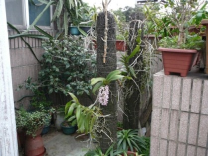 «ö¦¹¦b·sµøµ¡ÂsÄý¹Ï¤ù