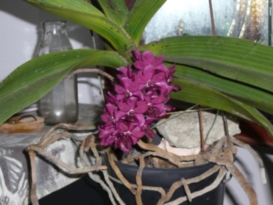 «ö¦¹¦b·sµøµ¡ÂsÄý¹Ï¤ù