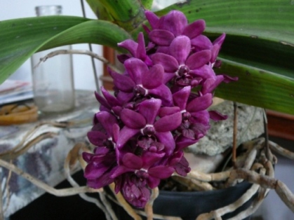 «ö¦¹¦b·sµøµ¡ÂsÄý¹Ï¤ù