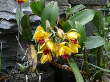 «ö¦¹¦b·sµøµ¡ÂsÄý¹Ï¤ù