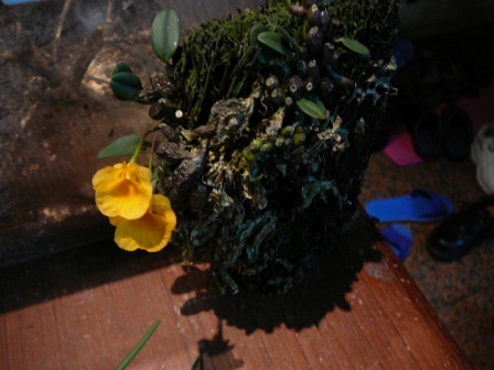 «ö¦¹¦b·sµøµ¡ÂsÄý¹Ï¤ù