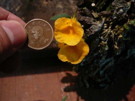 «ö¦¹¦b·sµøµ¡ÂsÄý¹Ï¤ù