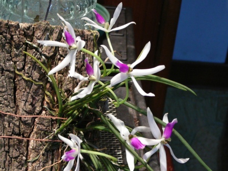 «ö¦¹¦b·sµøµ¡ÂsÄý¹Ï¤ù