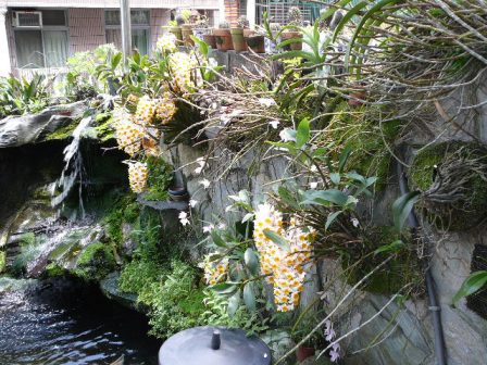 «ö¦¹¦b·sµøµ¡ÂsÄý¹Ï¤ù