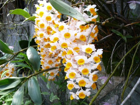 «ö¦¹¦b·sµøµ¡ÂsÄý¹Ï¤ù