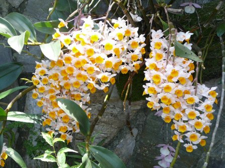 «ö¦¹¦b·sµøµ¡ÂsÄý¹Ï¤ù