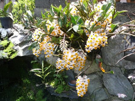 «ö¦¹¦b·sµøµ¡ÂsÄý¹Ï¤ù