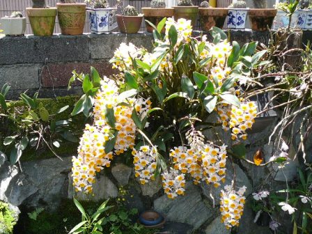 «ö¦¹¦b·sµøµ¡ÂsÄý¹Ï¤ù