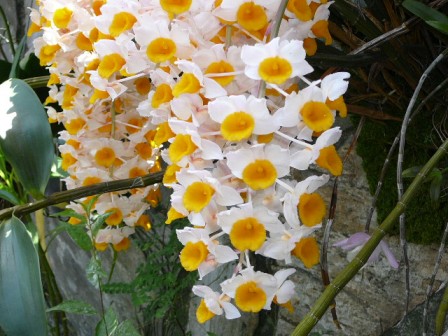 «ö¦¹¦b·sµøµ¡ÂsÄý¹Ï¤ù