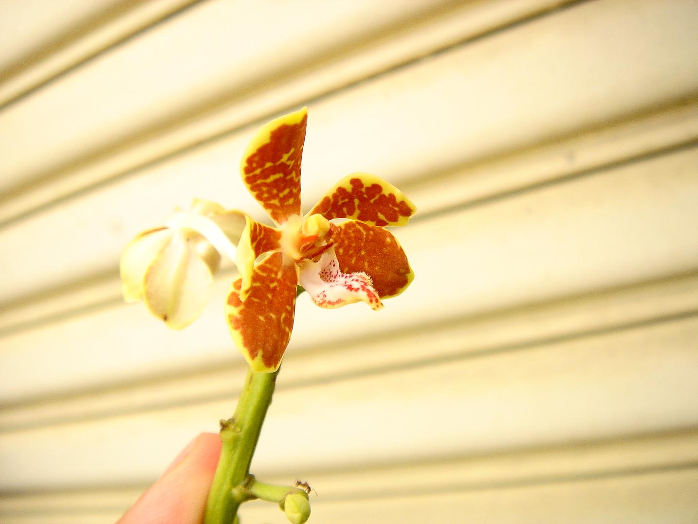 «ö¦¹¦b·sµøµ¡ÂsÄý¹Ï¤ù