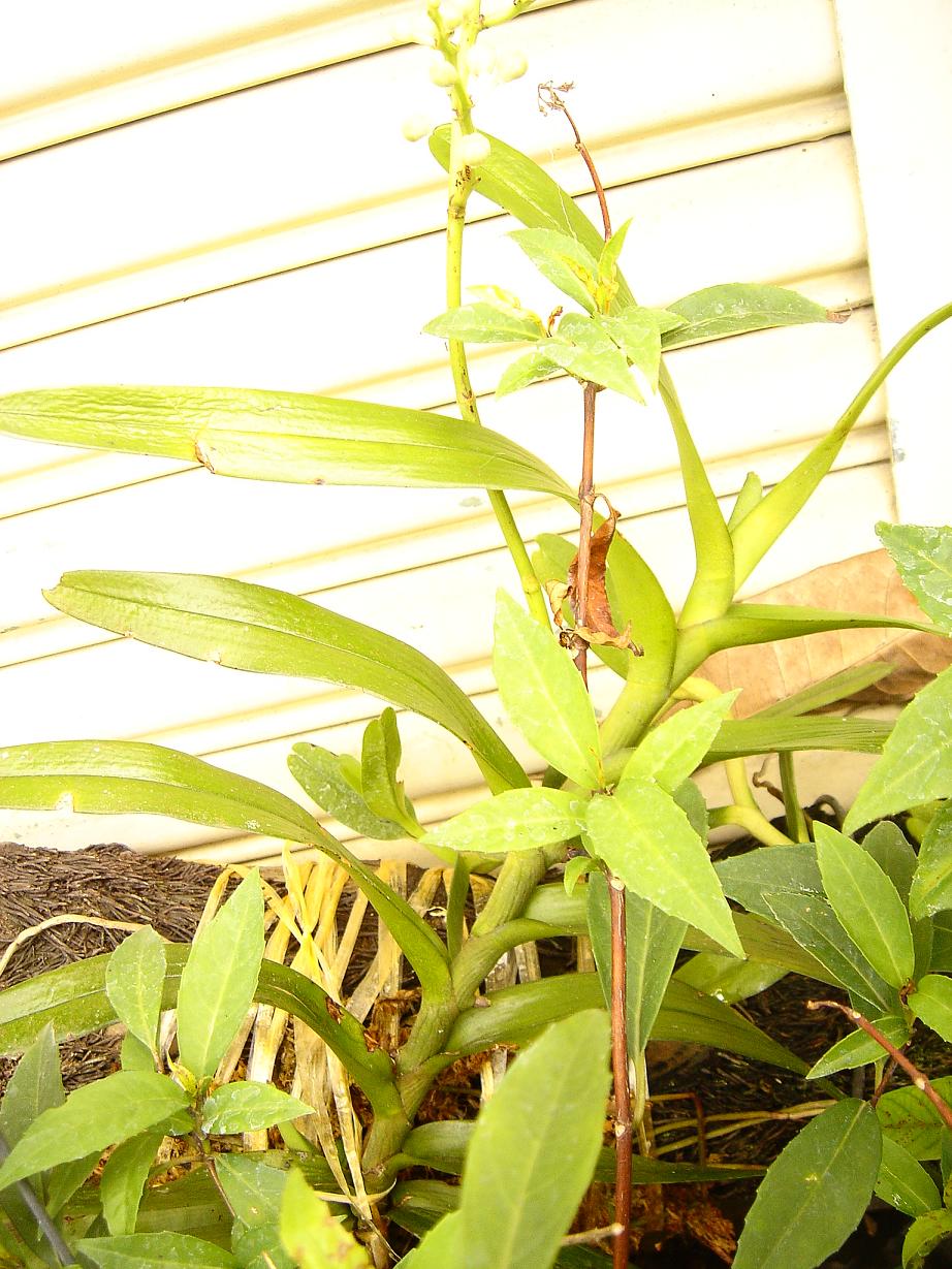 «ö¦¹¦b·sµøµ¡ÂsÄý¹Ï¤ù