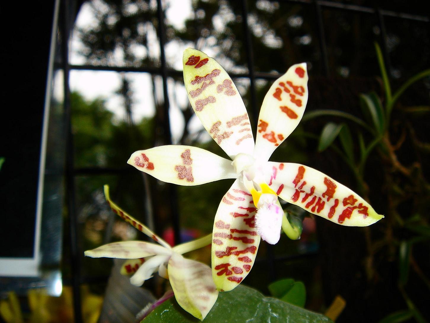 «ö¦¹¦b·sµøµ¡ÂsÄý¹Ï¤ù