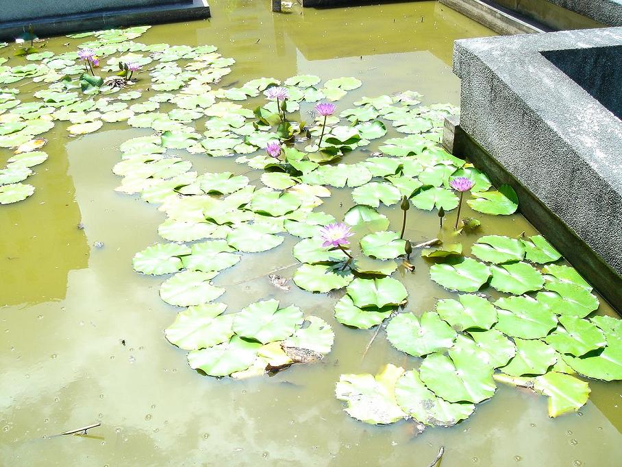 «ö¦¹¦b·sµøµ¡ÂsÄý¹Ï¤ù