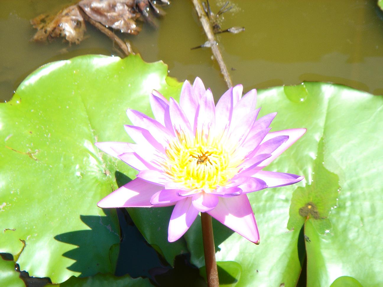 «ö¦¹¦b·sµøµ¡ÂsÄý¹Ï¤ù