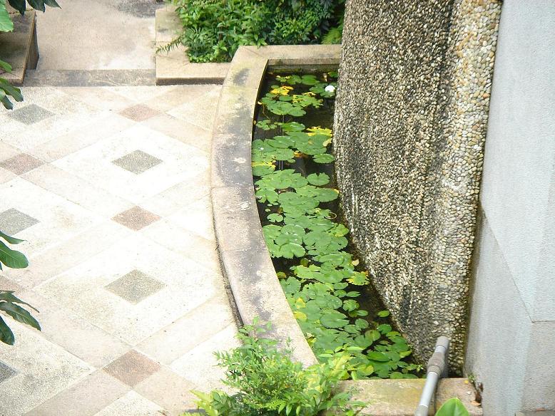 «ö¦¹¦b·sµøµ¡ÂsÄý¹Ï¤ù