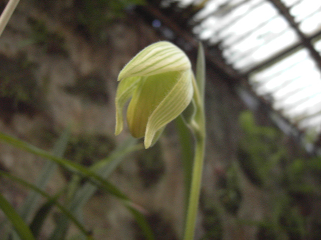 «ö¦¹¦b·sµøµ¡ÂsÄý¹Ï¤ù