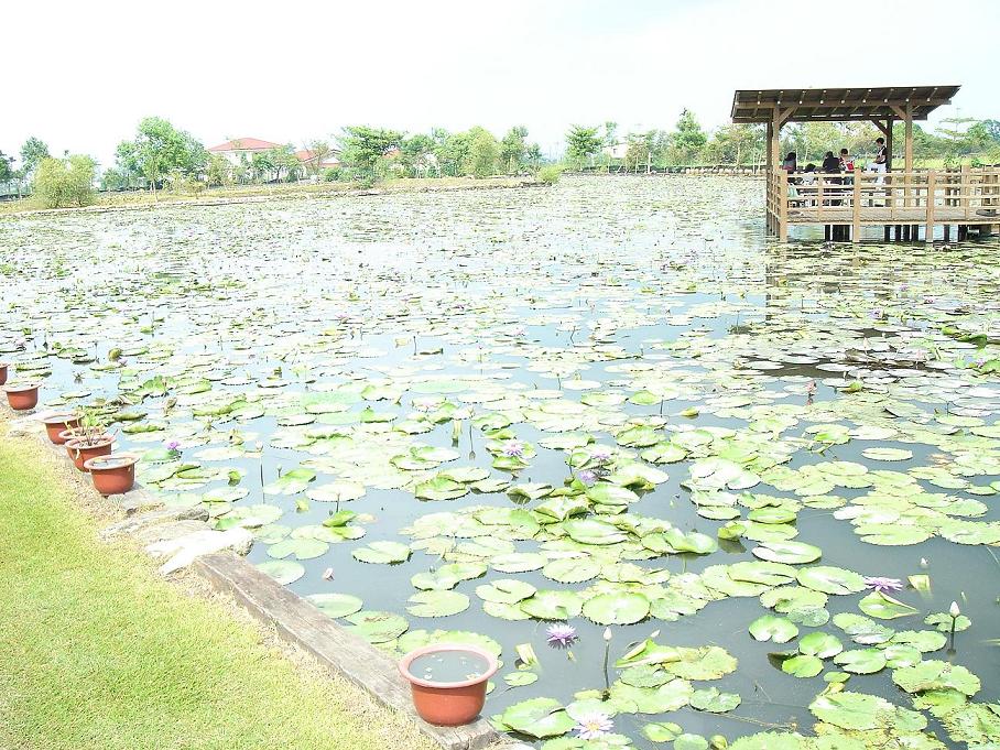 «ö¦¹¦b·sµøµ¡ÂsÄý¹Ï¤ù