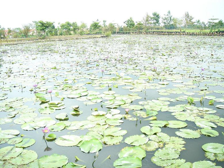 «ö¦¹¦b·sµøµ¡ÂsÄý¹Ï¤ù