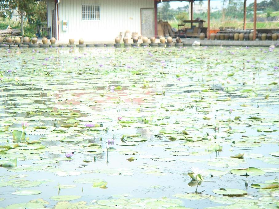 «ö¦¹¦b·sµøµ¡ÂsÄý¹Ï¤ù