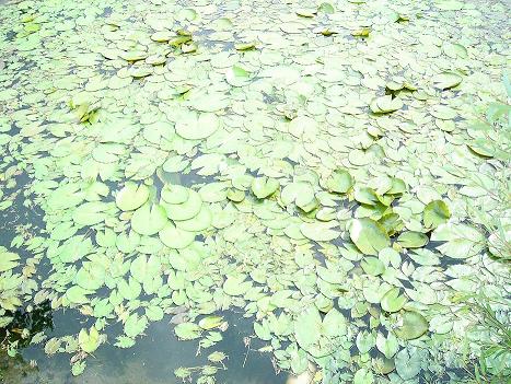 «ö¦¹¦b·sµøµ¡ÂsÄý¹Ï¤ù