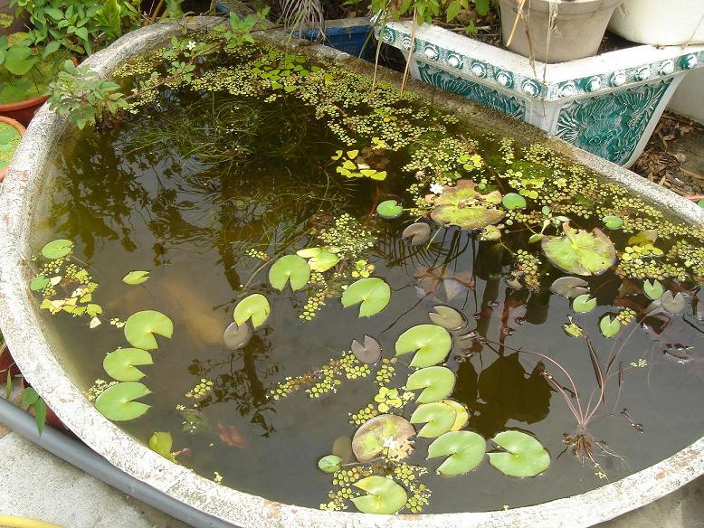 «ö¦¹¦b·sµøµ¡ÂsÄý¹Ï¤ù