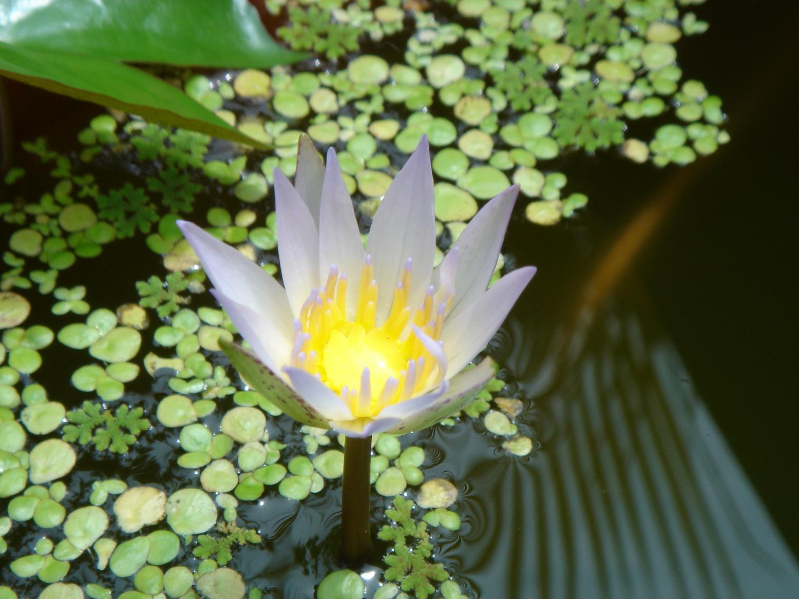 «ö¦¹¦b·sµøµ¡ÂsÄý¹Ï¤ù