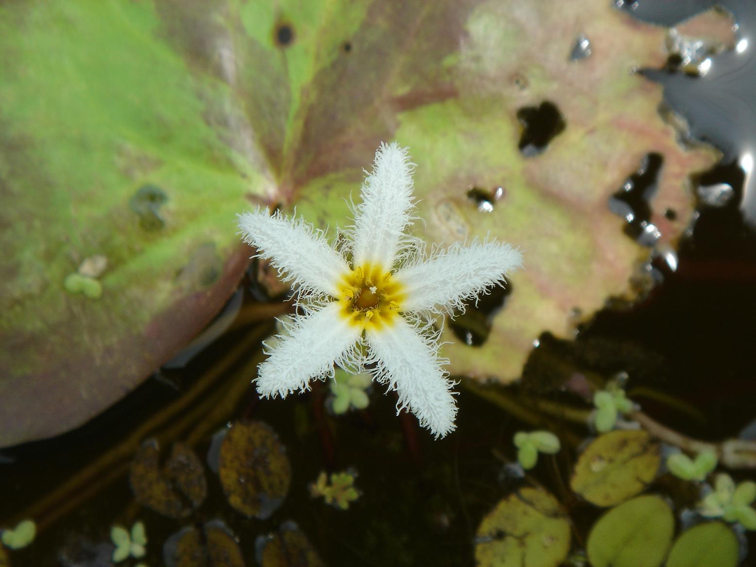 «ö¦¹¦b·sµøµ¡ÂsÄý¹Ï¤ù