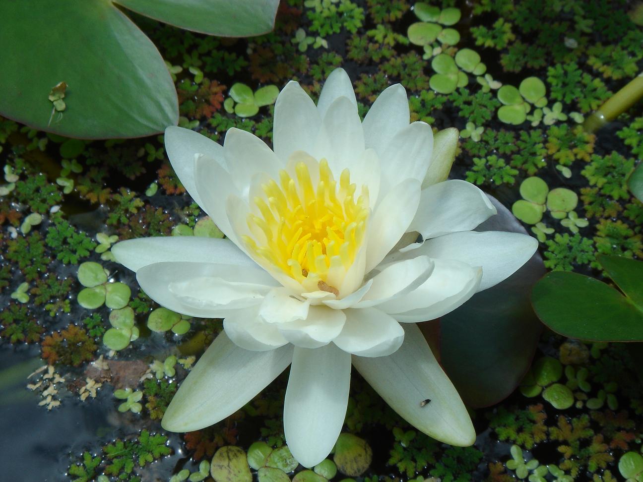 «ö¦¹¦b·sµøµ¡ÂsÄý¹Ï¤ù