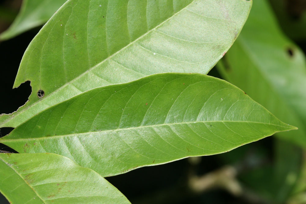 «ö¦¹¦b·sµøµ¡ÂsÄý¹Ï¤ù