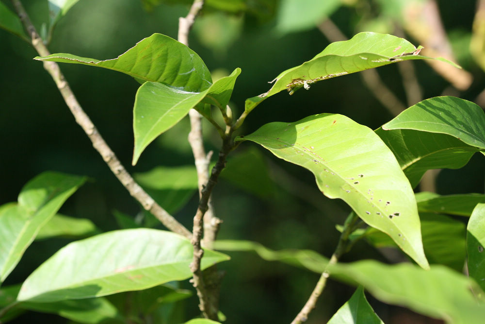 «ö¦¹¦b·sµøµ¡ÂsÄý¹Ï¤ù