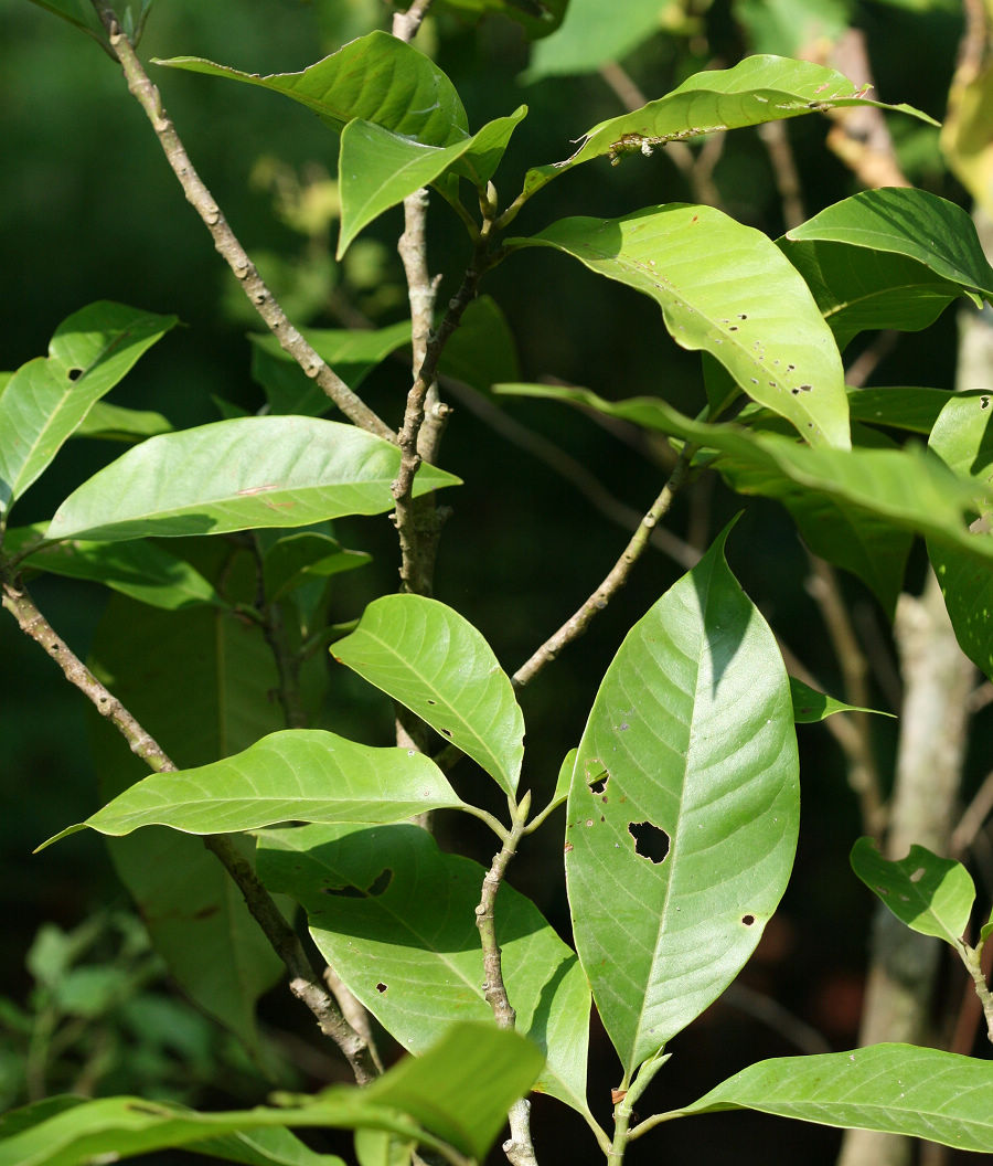 «ö¦¹¦b·sµøµ¡ÂsÄý¹Ï¤ù