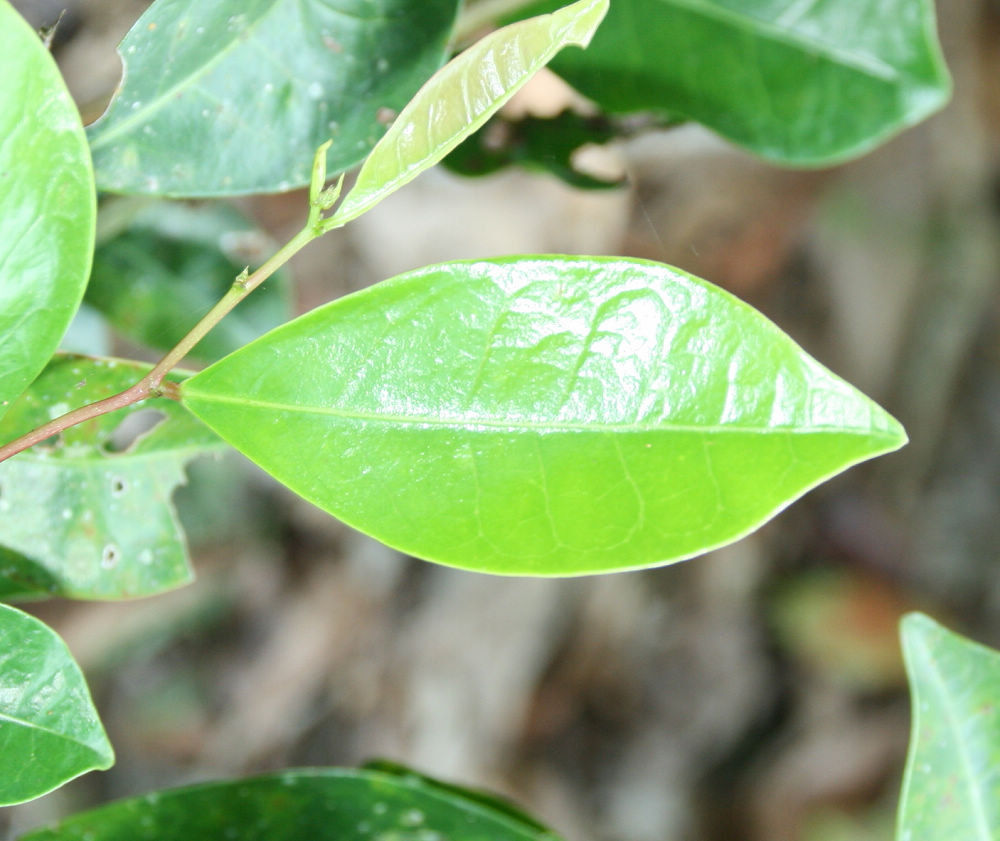 «ö¦¹¦b·sµøµ¡ÂsÄý¹Ï¤ù