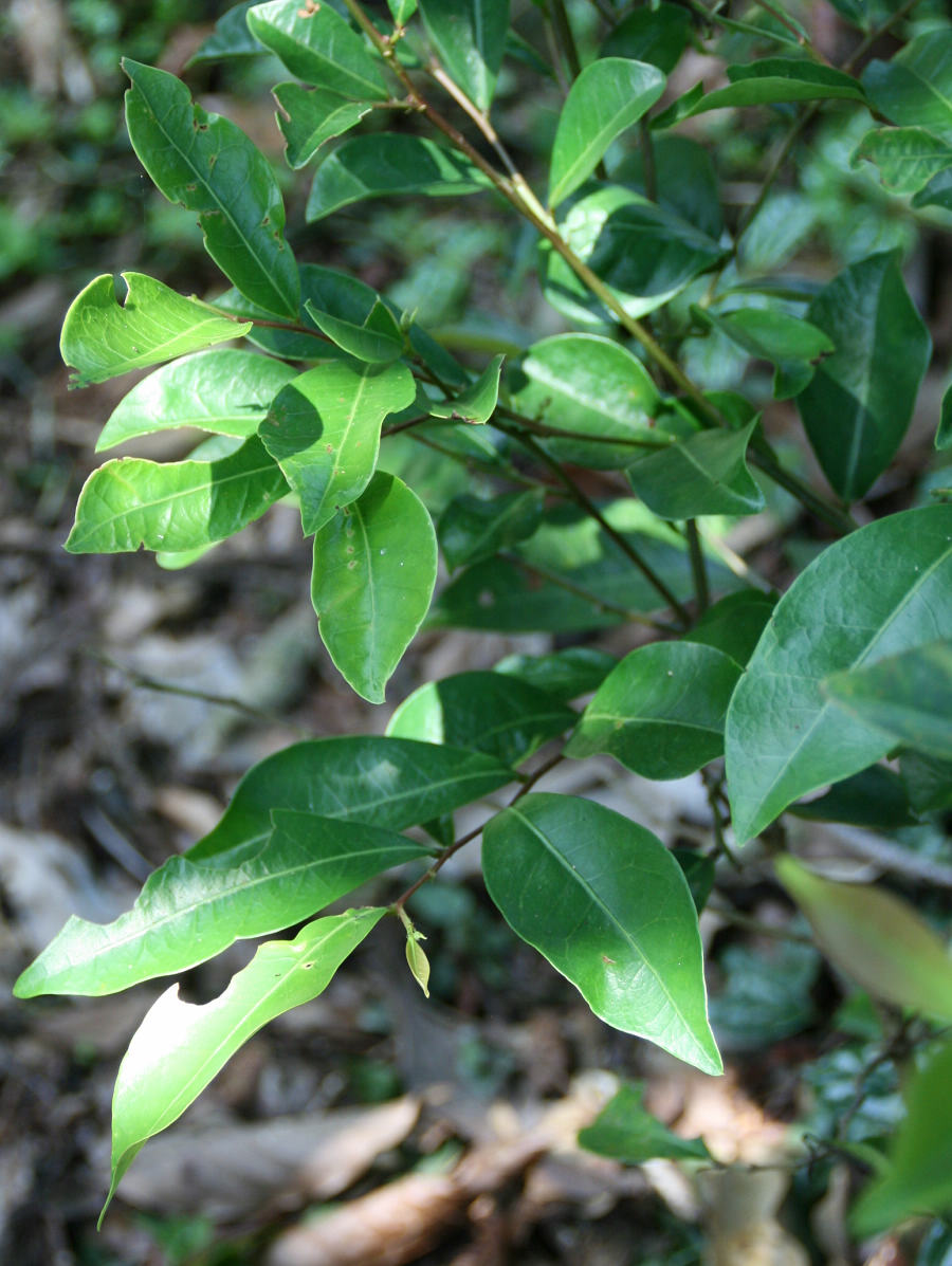 «ö¦¹¦b·sµøµ¡ÂsÄý¹Ï¤ù