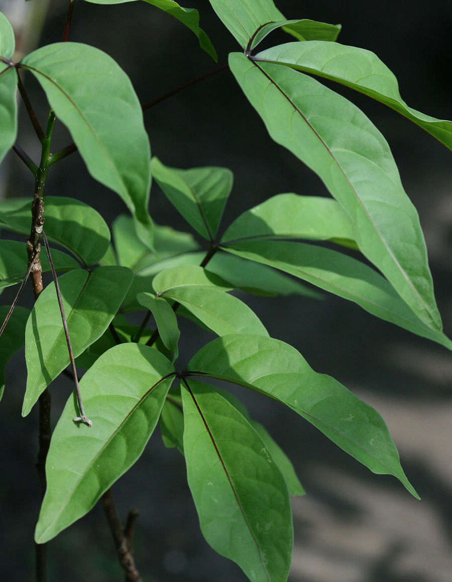 «ö¦¹¦b·sµøµ¡ÂsÄý¹Ï¤ù