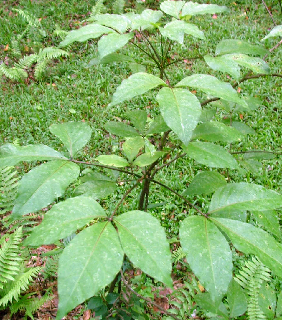 «ö¦¹¦b·sµøµ¡ÂsÄý¹Ï¤ù