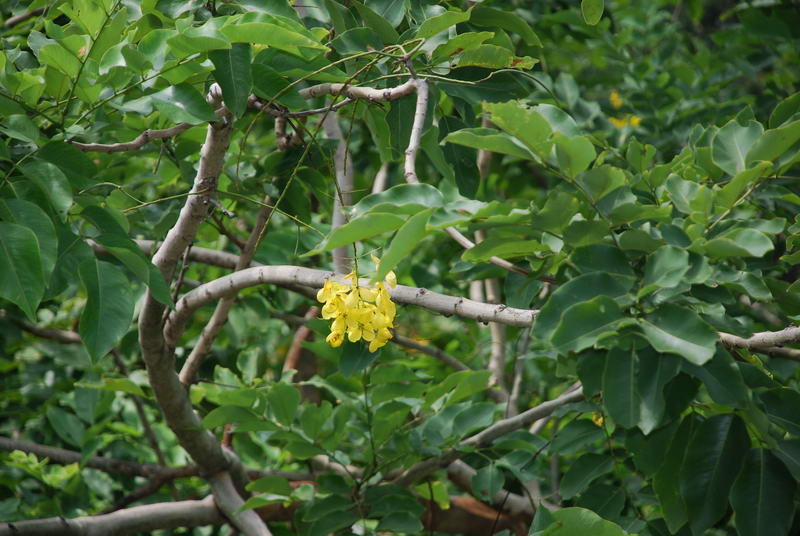 «ö¦¹¦b·sµøµ¡ÂsÄý¹Ï¤ù